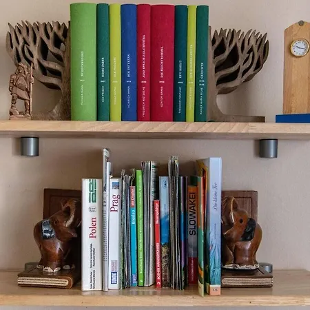 Benedenverdieping Lomniczka 펜션 카르파츠