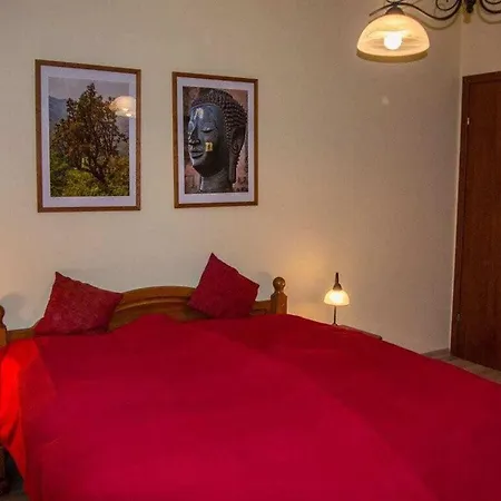 Benedenverdieping Lomniczka 펜션 카르파츠