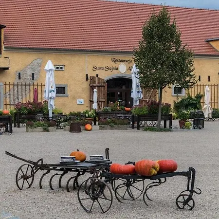 Benedenverdieping Lomniczka 펜션 카르파츠