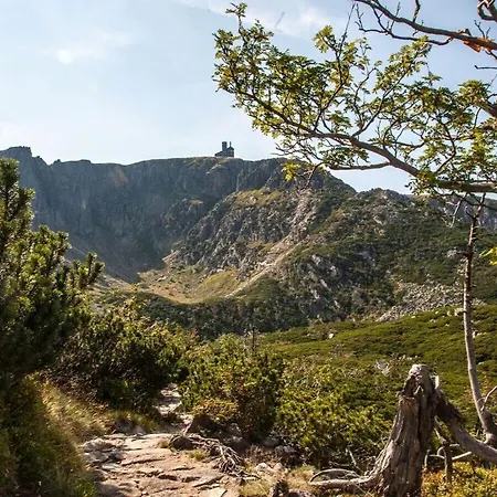 Dom wakacyjny Benedenverdieping Lomniczka *