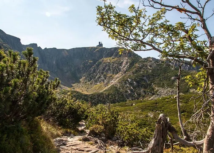 Dom wakacyjny Benedenverdieping Lomniczka *